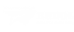 Travel On A Budget Budol logo